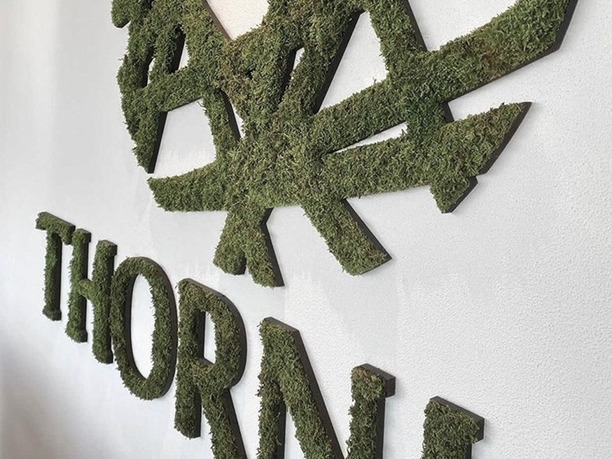 Inviting the green inside